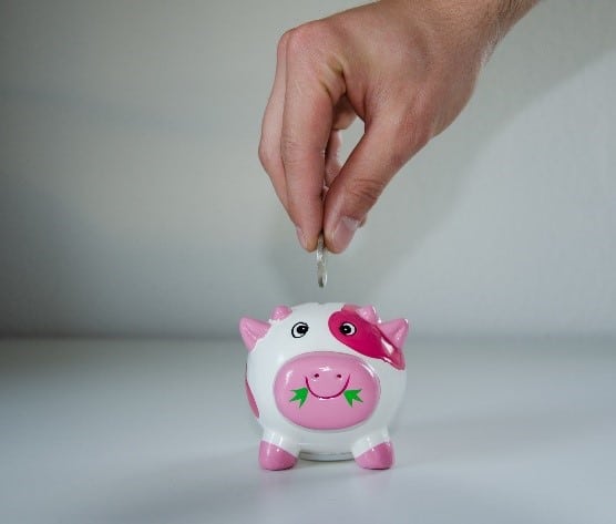 Feeding the Piggy Bank - How Much Do I Need To Retire?
