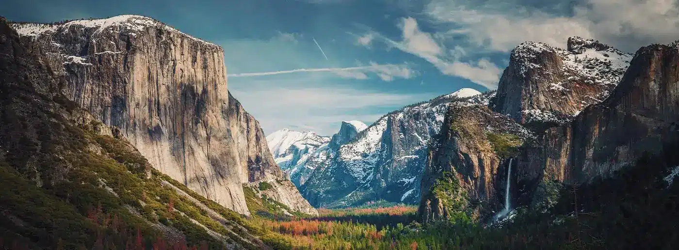 Yosemite - Investment Management