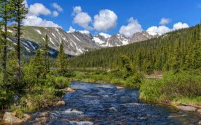 Strategic Uses of Charitable Remainder Trusts in Retirement