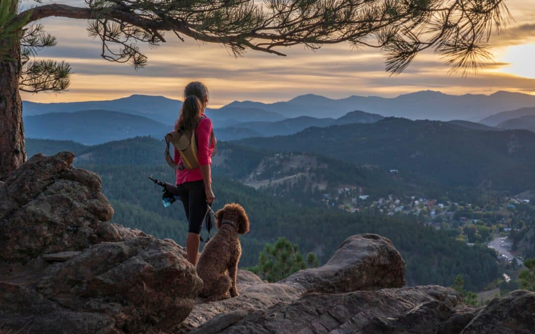 The Future of Donor-Advised Fund Rules