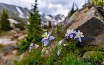 Building a Legacy of Purpose through Multi-Generational Giving